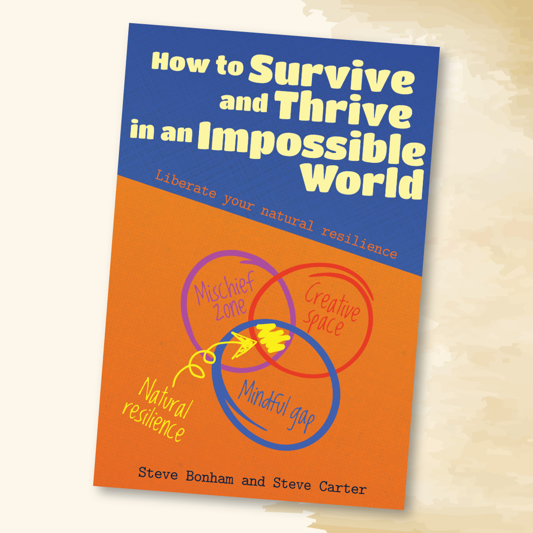 How To Survive and Thrive in an Impossible World (second edition)